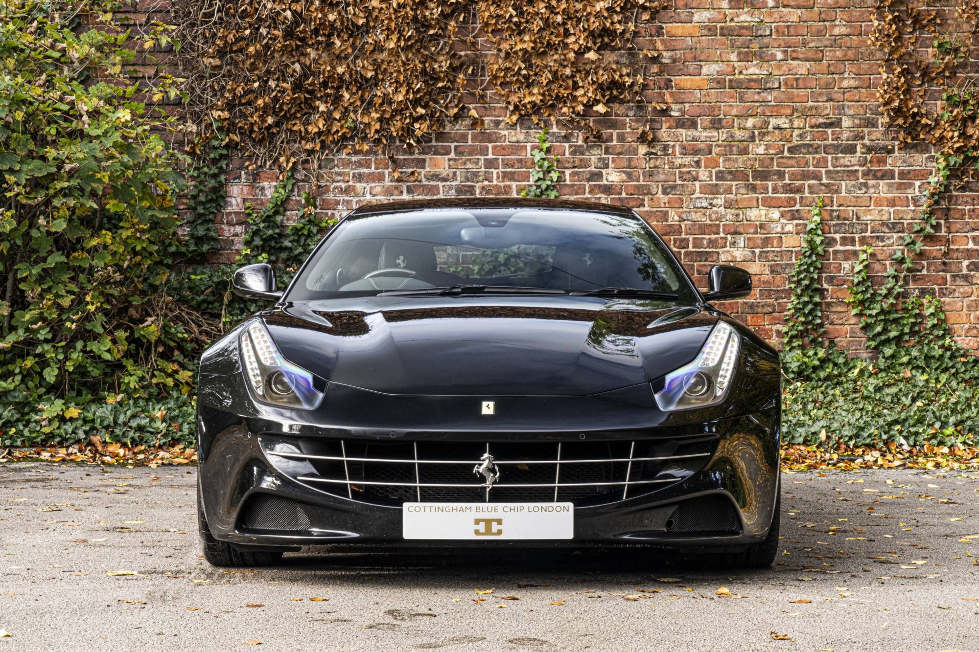Ferrari FF