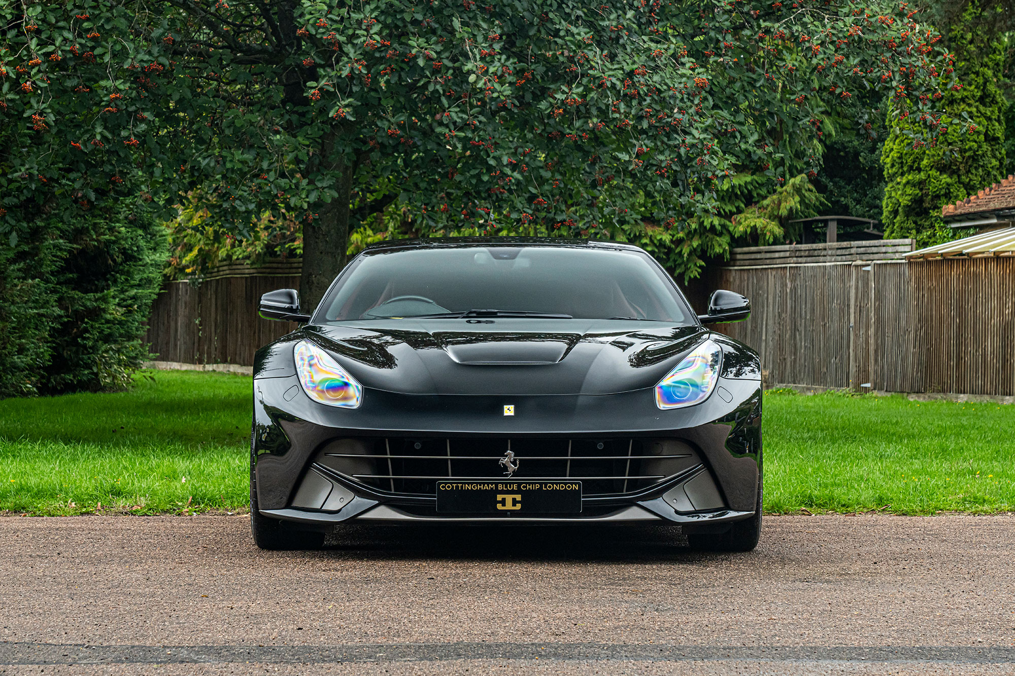 Ferrari F12 for Sale | Jeremy Cottingham